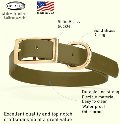 Viper Biothane Heavy Duty Waterproof Dog Collar Strong Coated Nylon Webbing w/Solid Brass Hardware Odor-Proof Easy to Clean High Performance Fits Small Medium or Large Dogs, Olive Drab Green