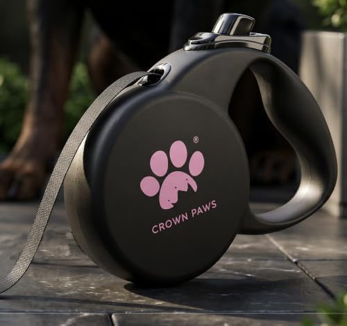 Retractable Dog Leash (Small), 10ft Heavy Duty Nylon Tape for Dogs up to 33 lbs, One-Hand Brake & Lock, Tangle-Free, Compact Lightweight Design, Black S GC-DAN
