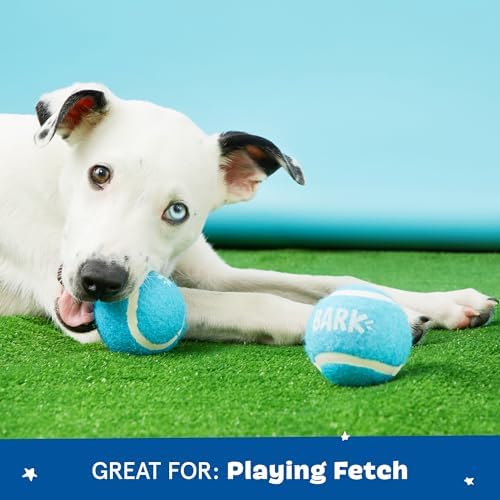 BarkBox Janspup Backpack 3-in-1 Interactive Plush Dog Toy