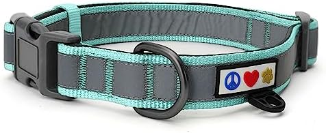 Pawtitas Camouflage Padded Reflective Dog Collar - Puppy Training Neoprene Behavioral Camo Collar XS Teal
