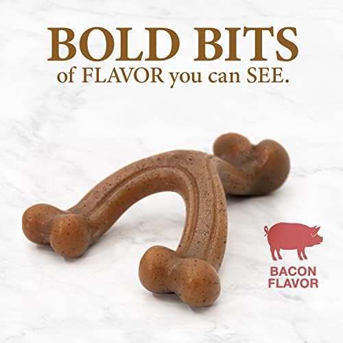 Nylabone Strong Chew Gourmet Style Wishbone Dog Chew Toy, Bacon Flavor