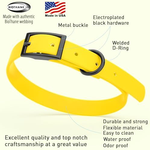Dogline Biothane Waterproof Dog Collar Strong Coated Nylon Webbing with Black Hardware Odor- Proof for Easy Care Easy to Clean High Performance Fits Small Medium or Large Dogs, Lemon Yellow