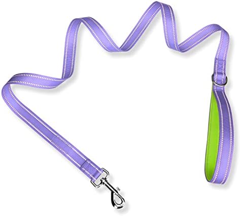 PHOEPET 5 Feet Dog Leash - Dual-Side Reflective - Soft Padded Handle