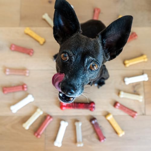 Nylabone Power Chew Customer Favorites Dog Chew Toys, 3 Count, Small