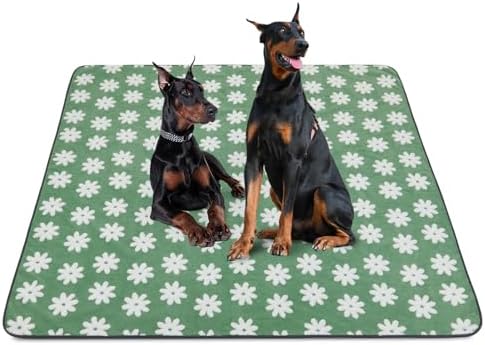 LOOBANI Extra Large Washable Puppy Pads for Incontinence 72"x72",1 Pack
