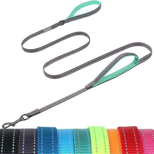 VIVAGLORY Double Handle Dog Leash Twingrip, 6ft x 1/2in, Grey