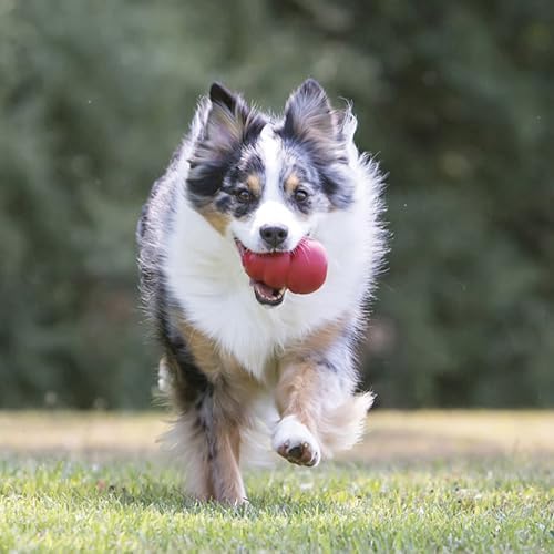KONG Classic Stuffable Dog Toy, Natural Rubber Chew, for Extra Large Dogs