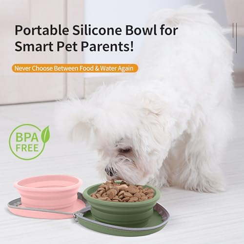 Collapsible Dog Bowls, 2-in-1 Pet Travel Bowls Pink Green