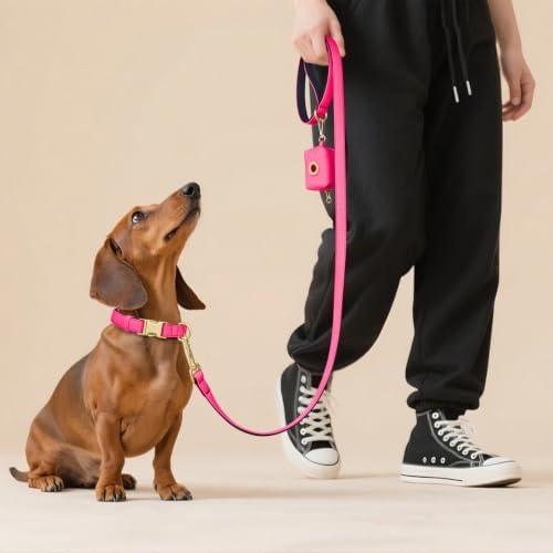 Didog Soft Padded Dog Collar for Small Dogs, Neon Pink, S Neck 10-15"