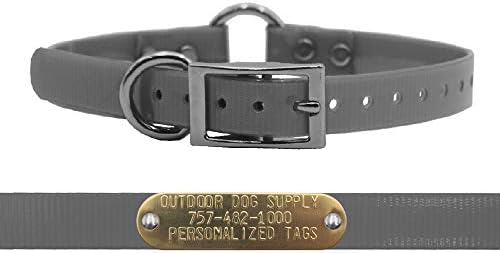 Waterproof D & Center Ring Dog Collar w Custom Name Tag 3/4x15, Silver
