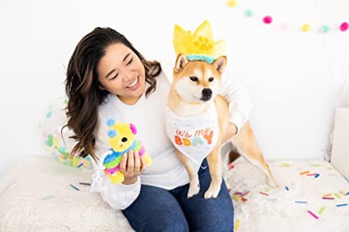 Pearhead Puppy Piñata Dog Toy, Interactive Chew Toy for Dogs