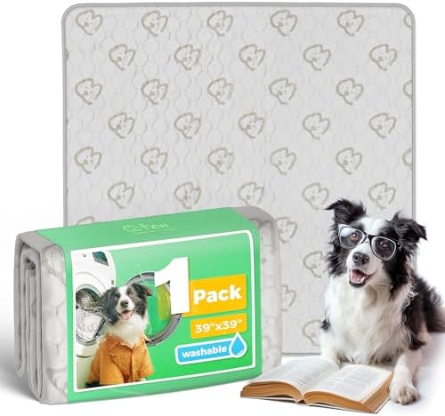 FXW Washable Pee Pads for Dogs, Super Absorbent, 39" Square, 1 Pack