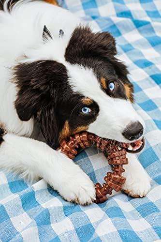 Nylabone Textured Ring Power Chew Toy for X-Large Dogs 50+ lbs