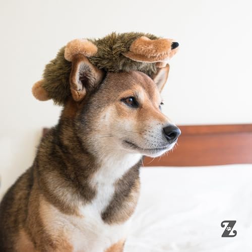 ZippyPaws Loopy No Stuffing Dog Toys to Keep Them Busy - 10"