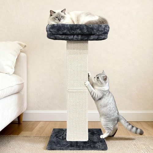 Cat Scratching Post with Plush Perch for Indoor Cats, 32 Inch