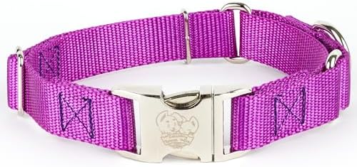 Country Brook Petz - Martingale Dog Collar - Heavy Duty Nylon Adjustable Martingale Dog Collar with Metal Buckle for Small Medium Large Breeds - 30+ Color Options (1 Inch, Extra Large, Bright Purple)