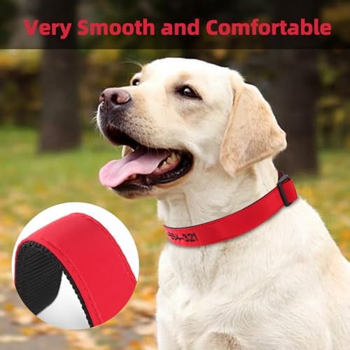 Kuley Personalized Dog Collar, Embroidered with Pet Name and Phone Number