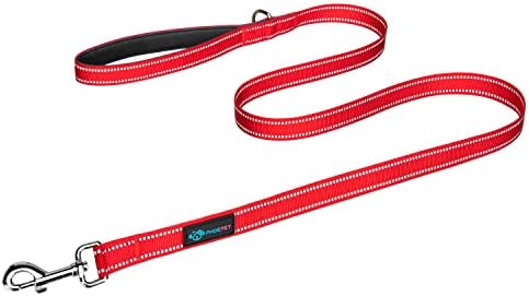 PHOEPET 5 Feet Dog Leash - Dual-Side Reflective - Soft Padded Handle