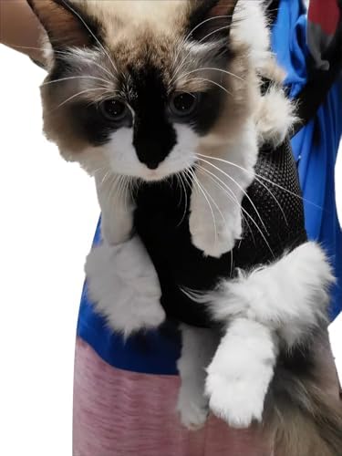 Pet Carrier Backpack - Adjustable Pet Front Cat Dog Carrier Backpack Travel Bag,Legs Out,Easy-Fit for Traveling Hiking Camping for Small Medium Dogs (Red, Medium)
