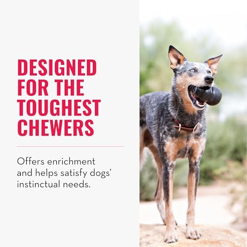KONG Extreme Dog Toy, Natural Rubber Chew, for X-Large Dogs (Pack of 2)