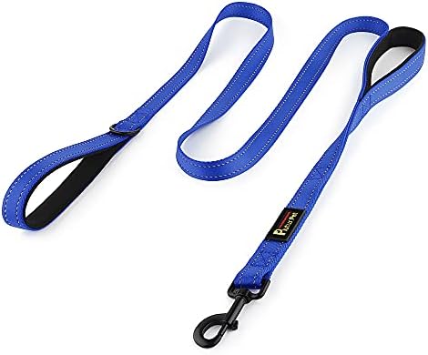 Plutus Pet Double Handle Dog Leash, 4 FT Long, for Medium Large Dogs