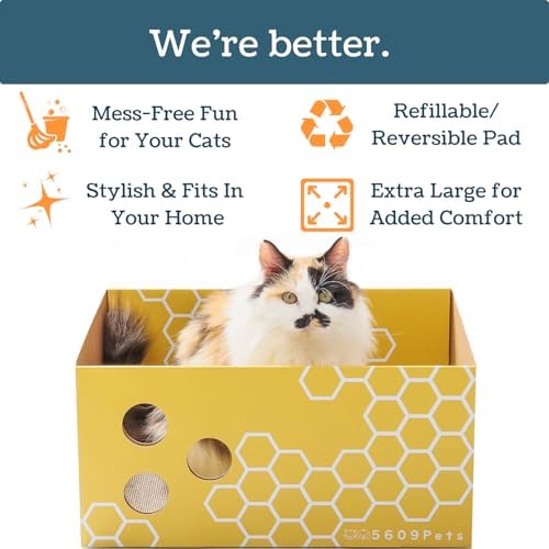 No-Mess Cardboard Cat Scratcher Box - Refillable Double-Sided Scratch Pad