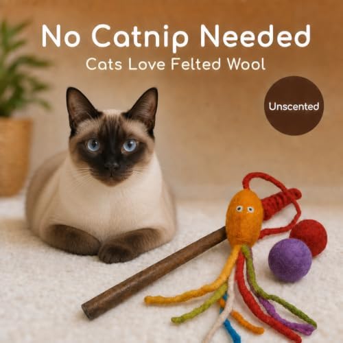 Wool Cat Toy - Felted Wool Rainbow Squid Fish Wand Toy Plus 2 Felt Ball Toys for Indoor Cats and Kittens (Cat Squid Toy)