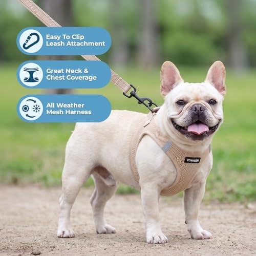 Best Pet Supplies Voyager Step-in Air All Weather Mesh Harness and Reflective Dog 5ft Leash Combo with Neoprene Handle, for Small, Medium and Large Breed Puppies - Khaki, XL