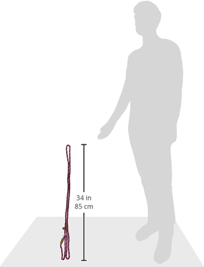 Mendota Pet Slip Leash - Dog Lead and Collar Combo - Made in The USA - Ruby, 3/8 in x 6 ft - for Small/Medium Breeds
