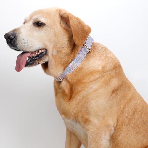 Glare Purple Personalized Dog Collars Leather and Nylon Thicken Design