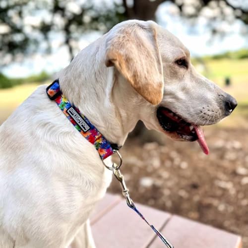 Lucky Love Dog Collar for Small Dogs Cute Adjustable Soft – Hana, Small