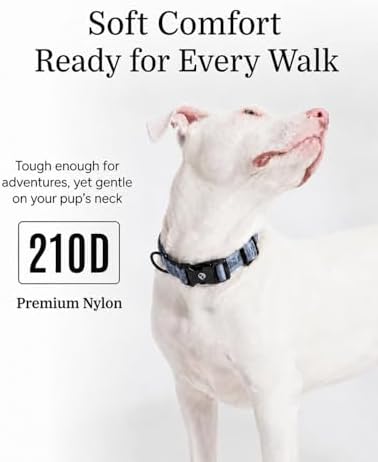 Fei & Eve Classic Dog Collar, Soft & Fur-Friendly