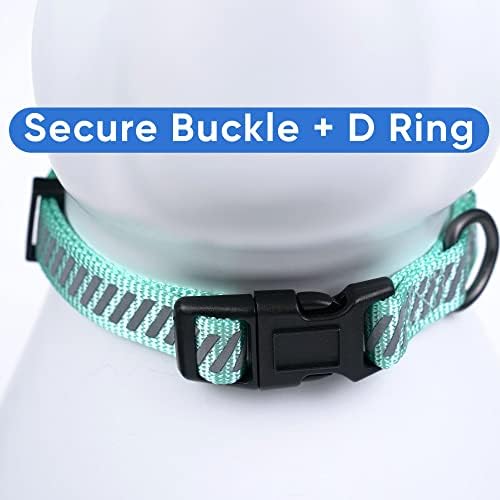 Pawtitas Reflective Dog Collar - Personalized Name & Phone Number, Adjustable for Extra Small & Small Dogs, Teal