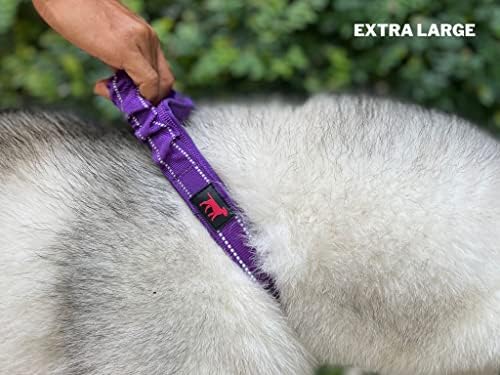 Tuff Pupper Heavy Duty Dog Collar with Handle | Ballistic Nylon Heavy Duty Collar | Padded Reflective Dog Collar with Adjustable Stainless Steel Hardware | Convenient Sizing for All Breeds