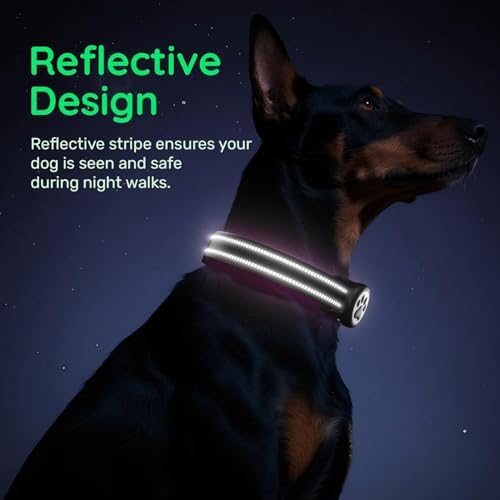 Premium Airtag Dog Collar，with IP68 Waterproof AirTag Holder,Black,XL