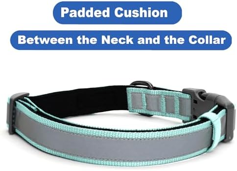 Pawtitas Personalized Dog Collar Reflective Dog Collar Padded Dog Collar with Name Phone Number Puppy Collar Adjustable Customized Collar for Large Dogs Breeds | Customized Teal Large Dog Collar