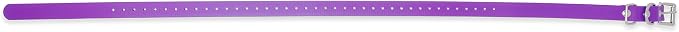 Educator Biothane Dog Collar, Waterproof, Odorproof, Metal Buckle and D Ring, Adjustable for Custom Fit, Cool and Comfortable, for Small, Medium, or Large Dogs, 3/4-Inch, Purple