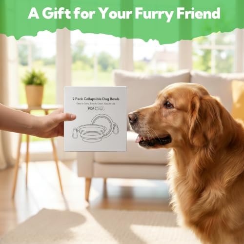 Collapsible Dog Bowl Large 34oz, Travel Dog Water Bowl Portable