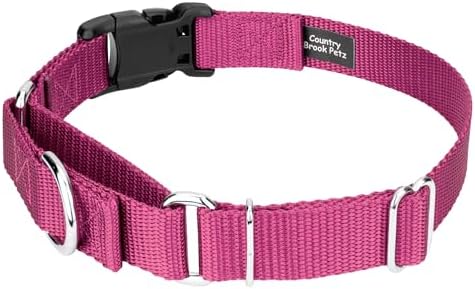 Martingale Dog Collar - Heavy Duty Nylon Adjustable Martingale Dog Collar with Plastic Buckle for Small Medium Large Breeds - 30+ Colors (1 Inch, Extra Large, Rose)