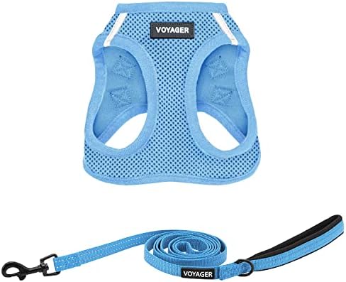 Best Pet Supplies Voyager Step-in Air All Weather Mesh Harness and Reflective Dog 5ft Leash Combo with Neoprene Handle, for Small, Medium and Large Breed Puppies - Baby Blue, Small