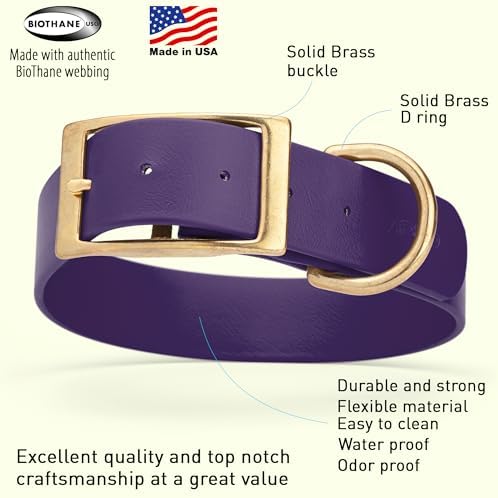 Viper Biothane Heavy Duty Waterproof Dog Collar Strong Coated Nylon Webbing w/Solid Brass Hardware Odor-Proof Easy to Clean High Performance Fits Small Medium or Large Dogs, Violet Purple
