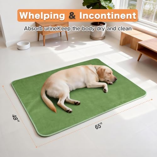 Washable Pee Pads for Dogs, Extra Large Reusable Dog Pee Pad, Waterproof Pet Mat, Dog Playpen Mats for Puppy Training Whelping Playpen Pads, Green, 48x36 inch