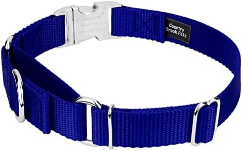 Country Brook Petz - Martingale Dog Collar - Heavy Duty Nylon Adjustable Martingale Dog Collar with Metal Buckle for Small Medium Large Breeds - 30+ Color Options (3/4 Inch, Small, Bright Royal Blue)