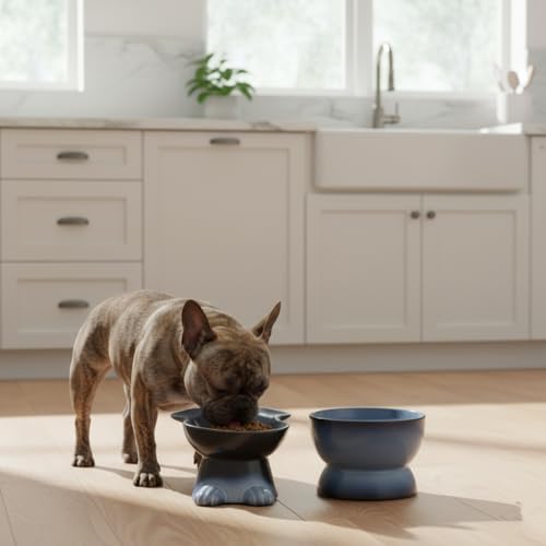 Nihow Dog Food & Water Bowls: Elevated Ceramic Bowls for Medium/Small Dog