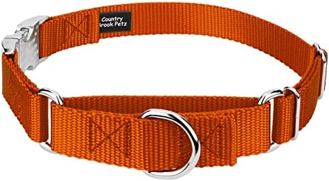 Country Brook Petz - Martingale Dog Collar - Heavy Duty Nylon Adjustable Martingale Dog Collar with Metal Buckle for Small Medium Large Breeds - 30+ Color Options (1 Inch, Medium, Orange)