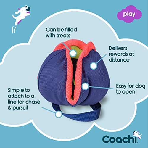 Company of Animals Coachi Chase & Treat - A Fun Enrichment Dog Toy