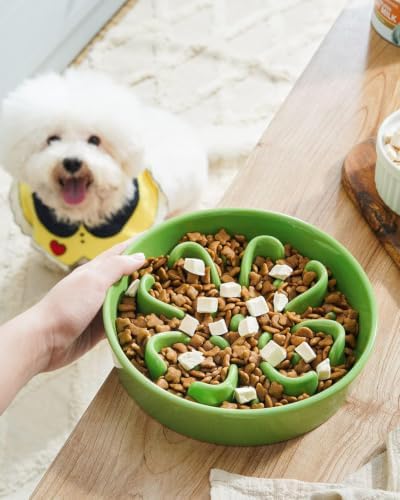 LE TAUCI Dog Bowls Slow Feeder Ceramic, 1.5 Cup Slow Feeding Bowl for Small and Medium Breed, Puzzle Dog Food Bowl for Fast Eater, Pink+Green