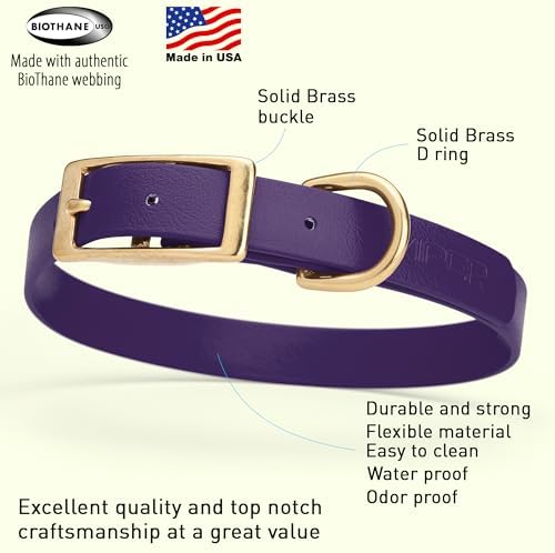 Viper Biothane Heavy Duty Waterproof Dog Collar Strong Coated Nylon Webbing w/Solid Brass Hardware Odor-Proof Easy to Clean High Performance Fits Small Medium or Large Dogs, Violet Purple