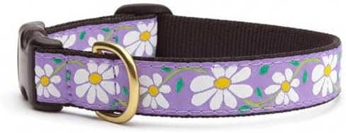 Up Country Daisy Pattern (Daisy Dog Collar, X-Large (18 to 24 inches) 1 inch Wide Width)
