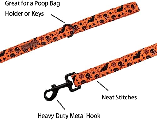 Lionet Paws Dog Leash for Small Dogs, Orange, 5/8in x 4ft